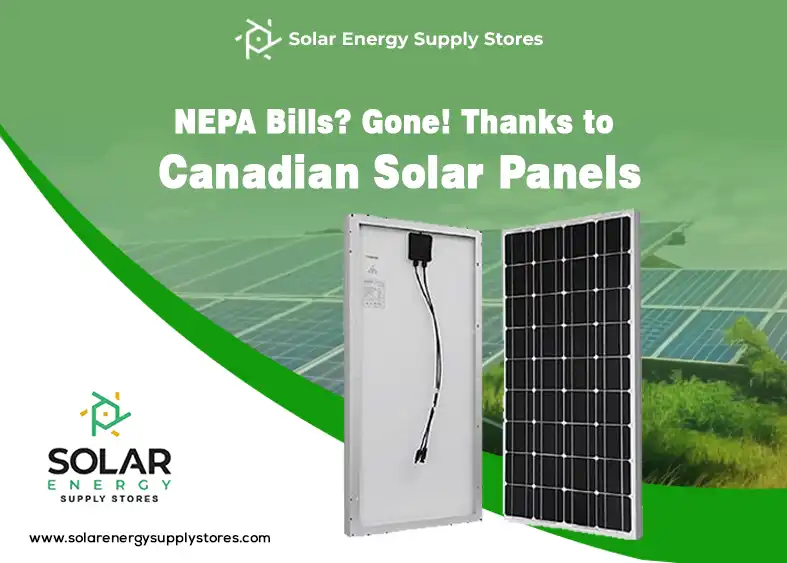 Various solar panels displayed for sale with price tags in Nigeria