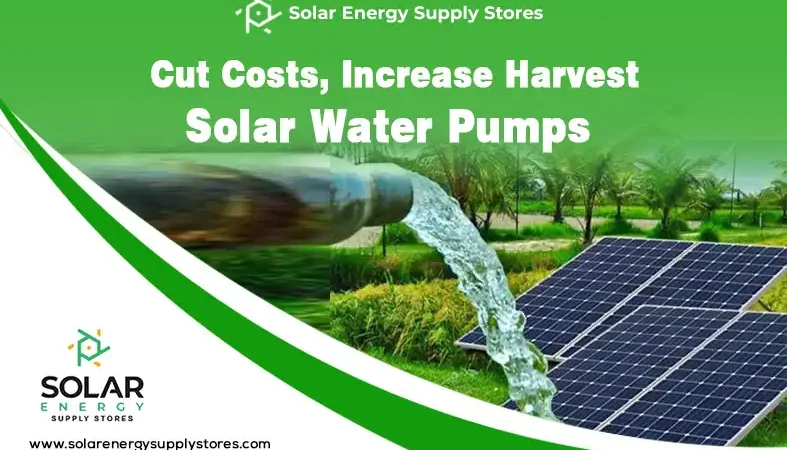 Solar-powered water pump system irrigating a farm in rural Nigeria