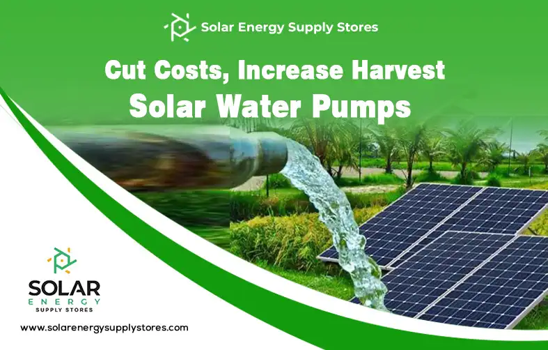 Solar Water Pump for Irrigation – Smart Farming Solutions for Nigerian Agriculture