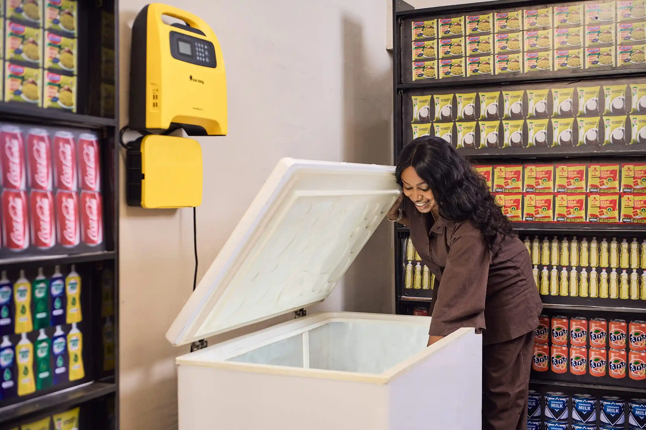 Sunking Portable solar energy