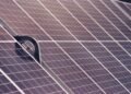 Close-up of solar panel modules showing rows of photovoltaic cells, shot on film