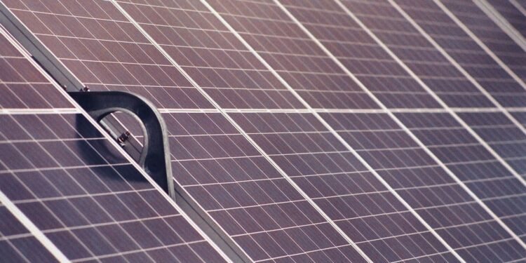 Close-up of solar panel modules showing rows of photovoltaic cells, shot on film