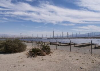 Ground-mounted solar panels with wind turbines across open flat countryside under a wide sky