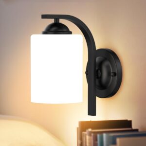 wall bracket light